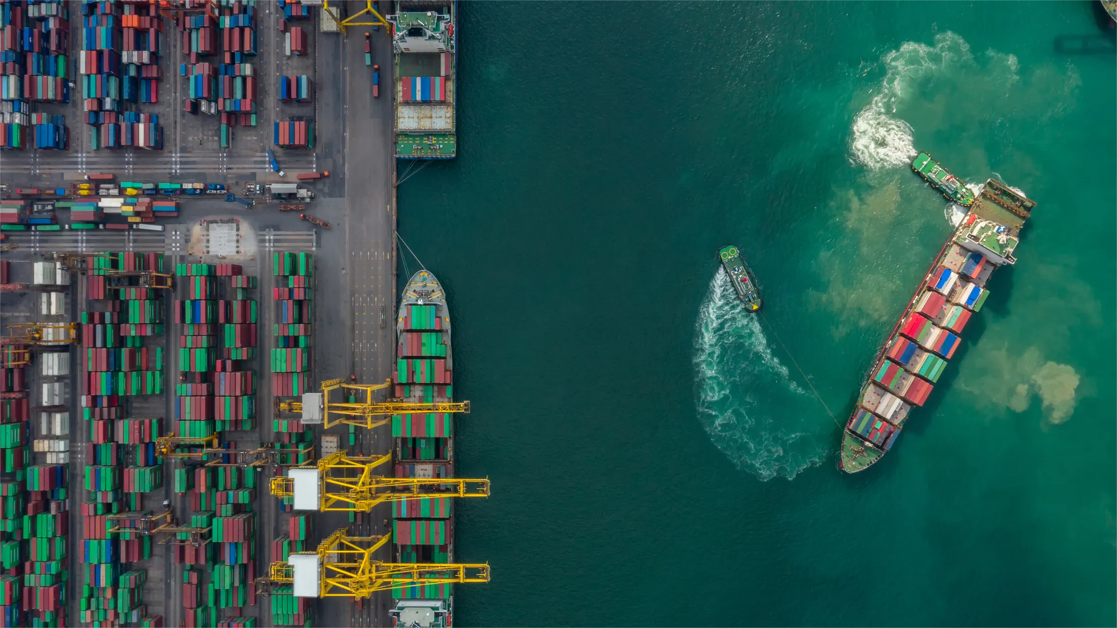 Logistics professional managing customs documentation for Germany