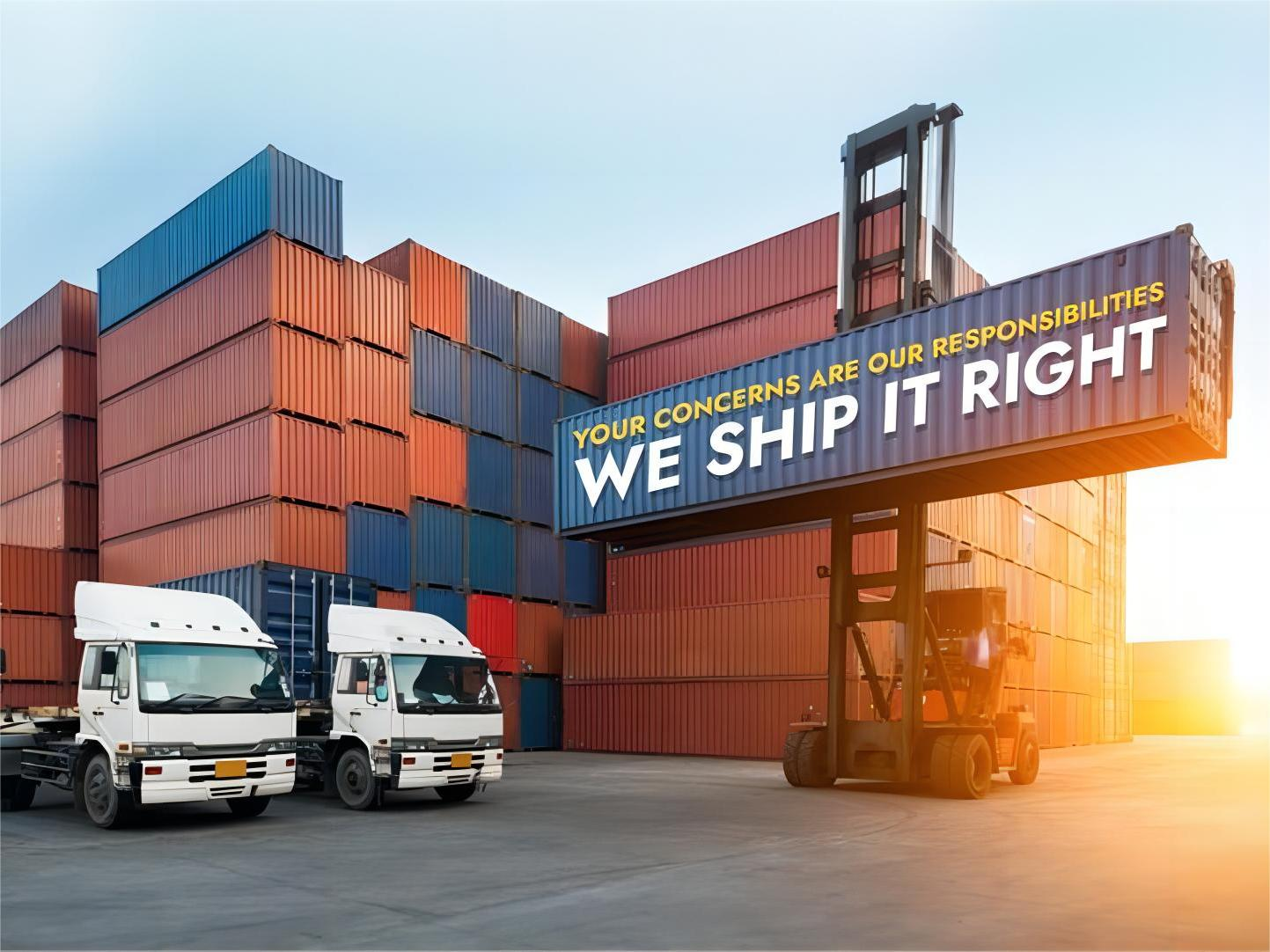 Logistics professional reviewing customs documentation